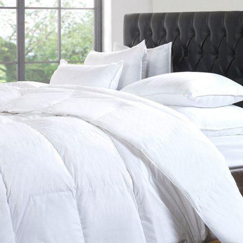 White Noise All Season Down Alternative Comforter Wayfair